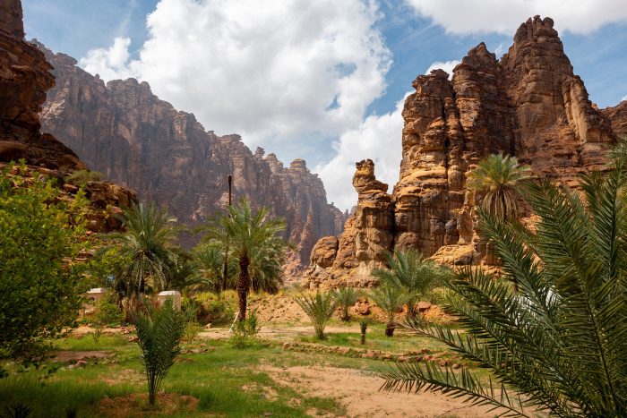 photo of the rock formations and palm trees at al disah valley