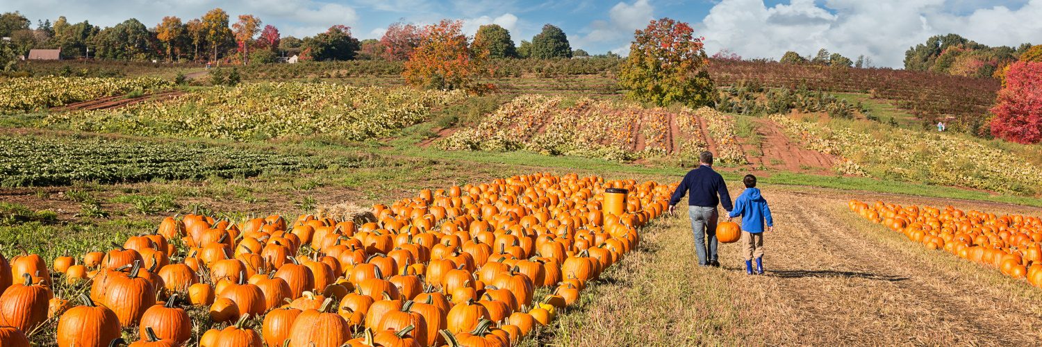 Father and son at a pumpkin patch