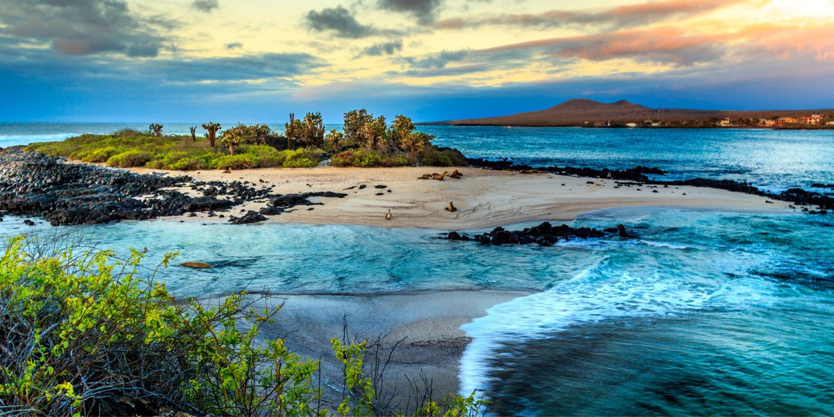 A picture of the Galapagos Islands