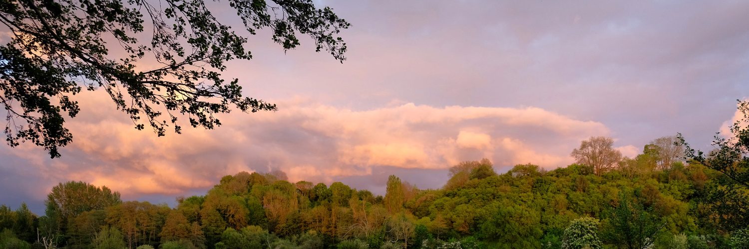 sunset on the river wey guildford